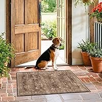 HazoHaus Boho Taupe Brown 2x3 Washable Entryway Rug - Low Pile Non-Slip Door Mat for Kitchen Bathroom Indoor