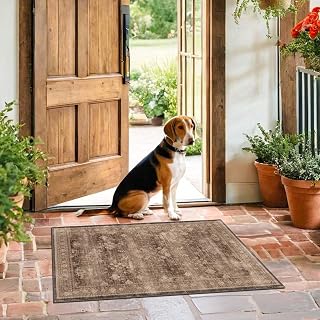 HazoHaus Boho Taupe Brown 2x3 Washable Entryway Rug - Low Pile Non-Slip Door Mat for Kitchen Bathroom Indoor