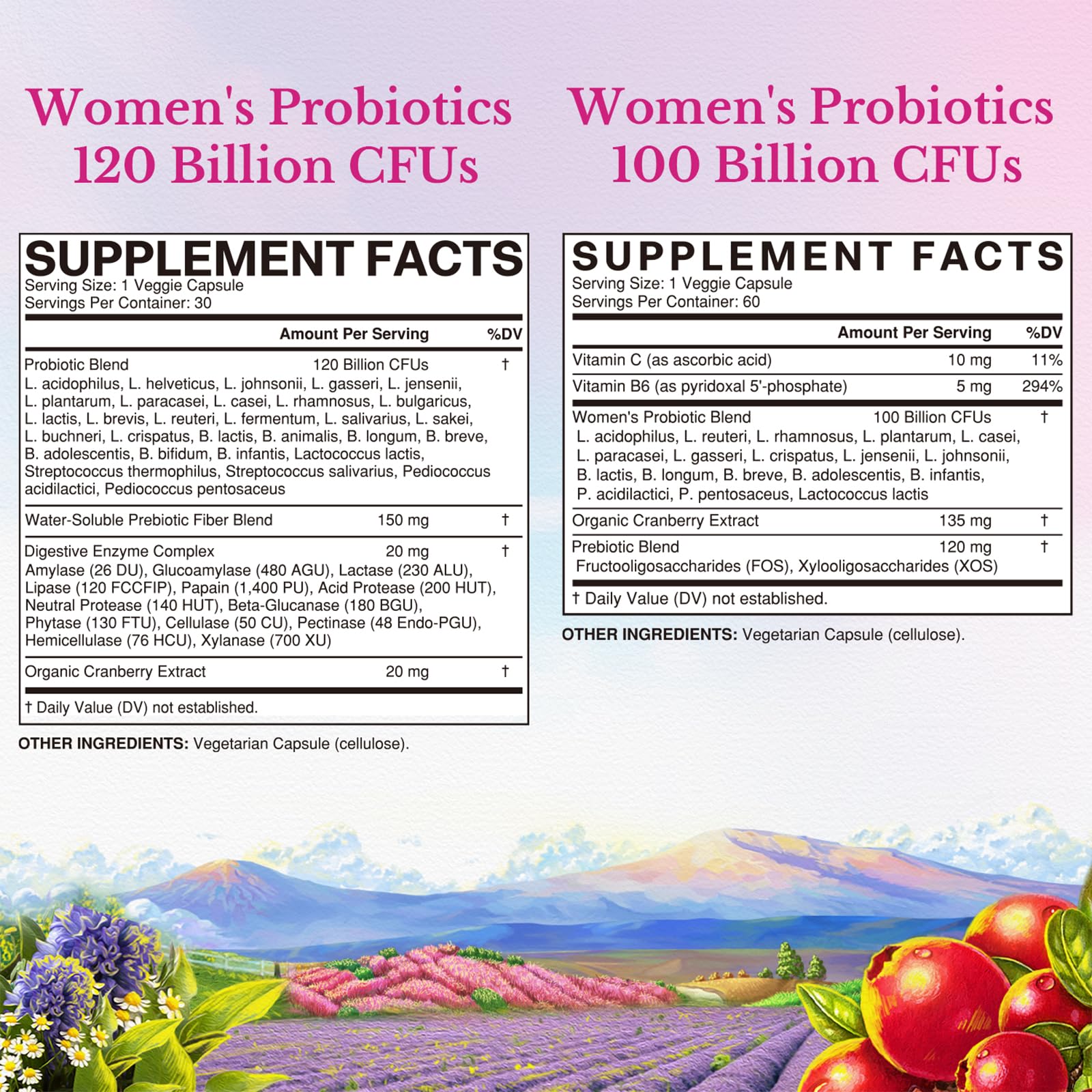 Vitalitown Probiotic Bundle (Pack of 2) | Women’s Probiotics 120 Billion (Item 1) & Women’s Probiotics 100 Billion (Item 2) | 30 Capsules & 60 Capsules
