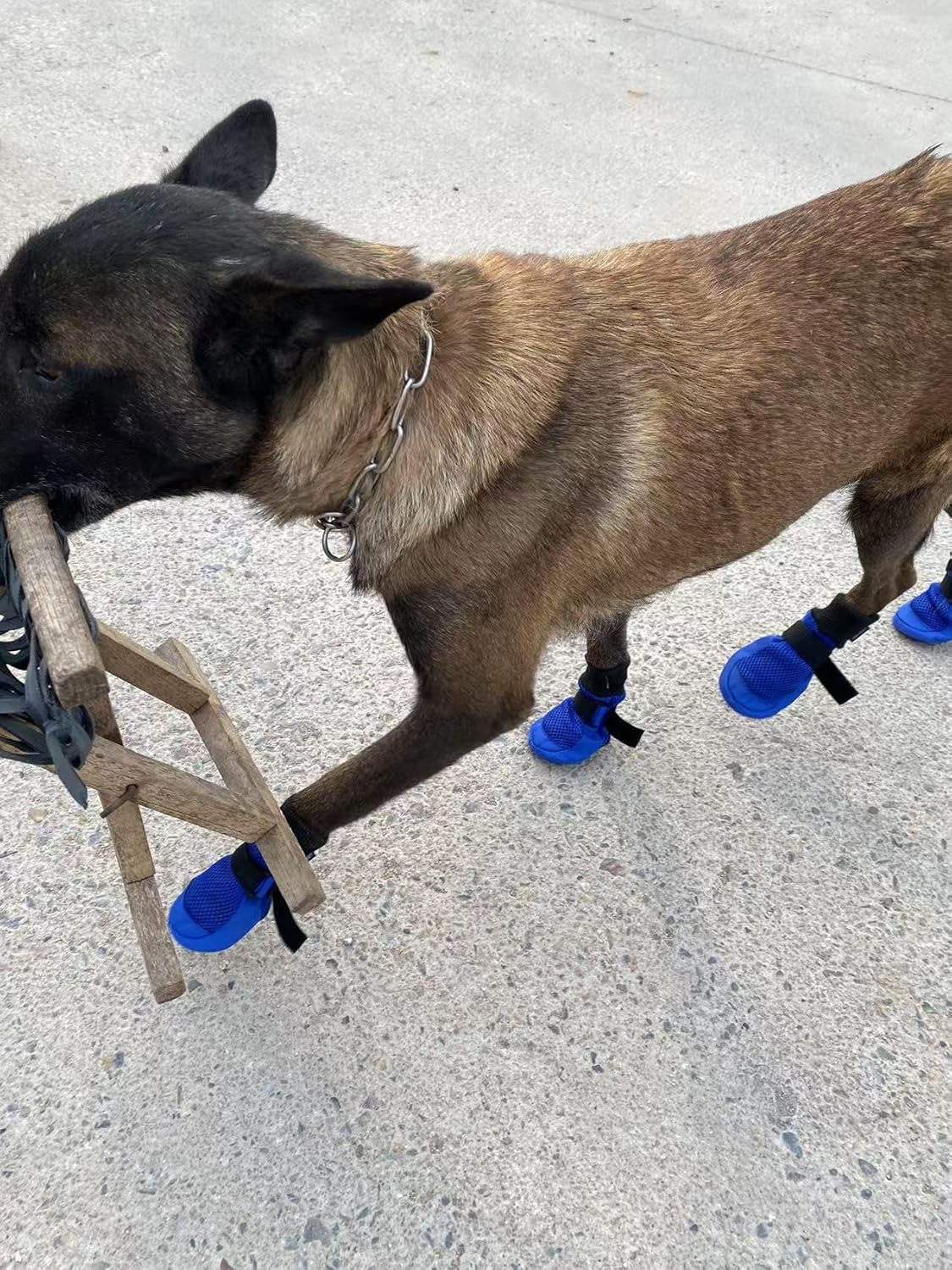 Dog Boots Breathable Protect Paws Soft Nonslip Soles Set of 4 Size Large Color Blue