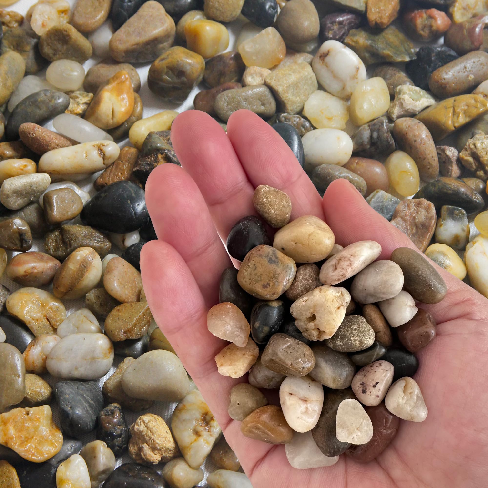 Small Rocks for Plants，3/8" Small Pebbles，1lbs Small River Rocks Decorative Pea Gravel，Pebbles for Indoor Plants, Vases, Bamboo, Succulent, Terrarium, Crafts, Cactus