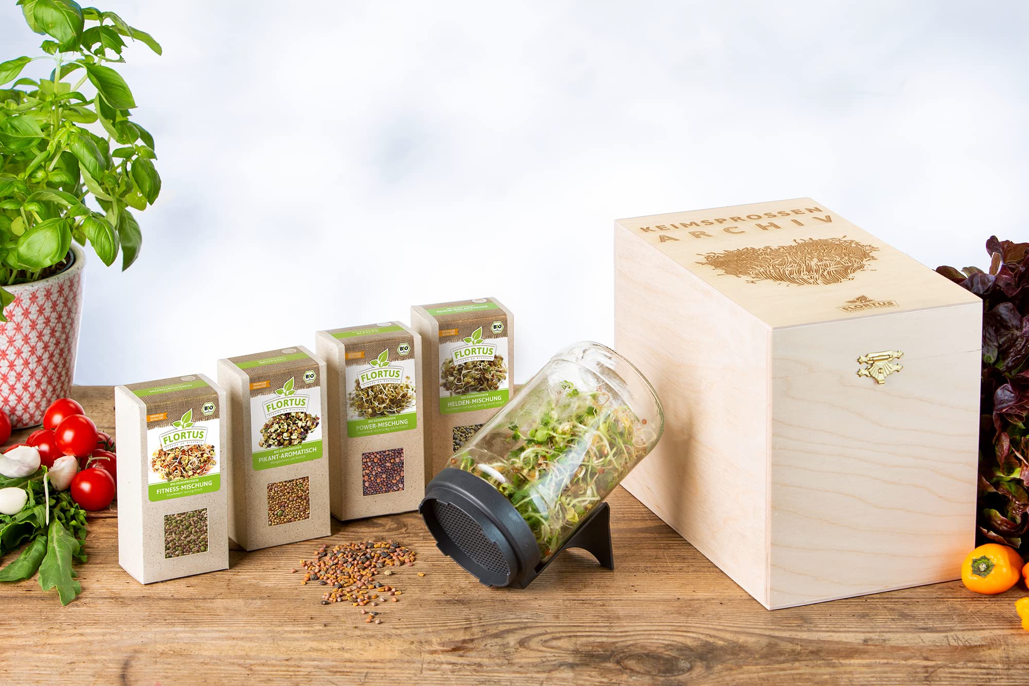 FLORTUS BIO Keimsprossen Archiv Geschenkbox - inkl. 4x Sprossen Mix | Fitness, Helden, Power & Pikante Mischung | Geschenkset mit Sprossenglas | Keimsprossenbox Holzbox mit Deckel