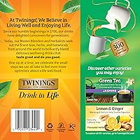 Vista 548 de Twinings Blackcurrant Breeze - Té negro, 6 paquetes de 20 unidades, bolsas de té envueltas individualmente, dulce, sabor picante, con cafeína