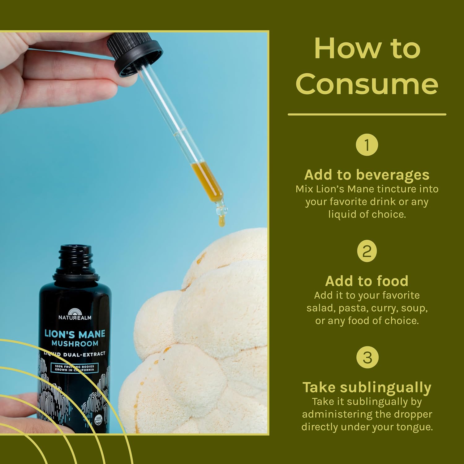 Naturealm Lion’s Mane Mushroom Liquid Tincture Supplement – Focus, Memory & Brain Health, Vegan, Non-GMO – Organic Fruiting Bodies, 1 Month Supply - Image 6