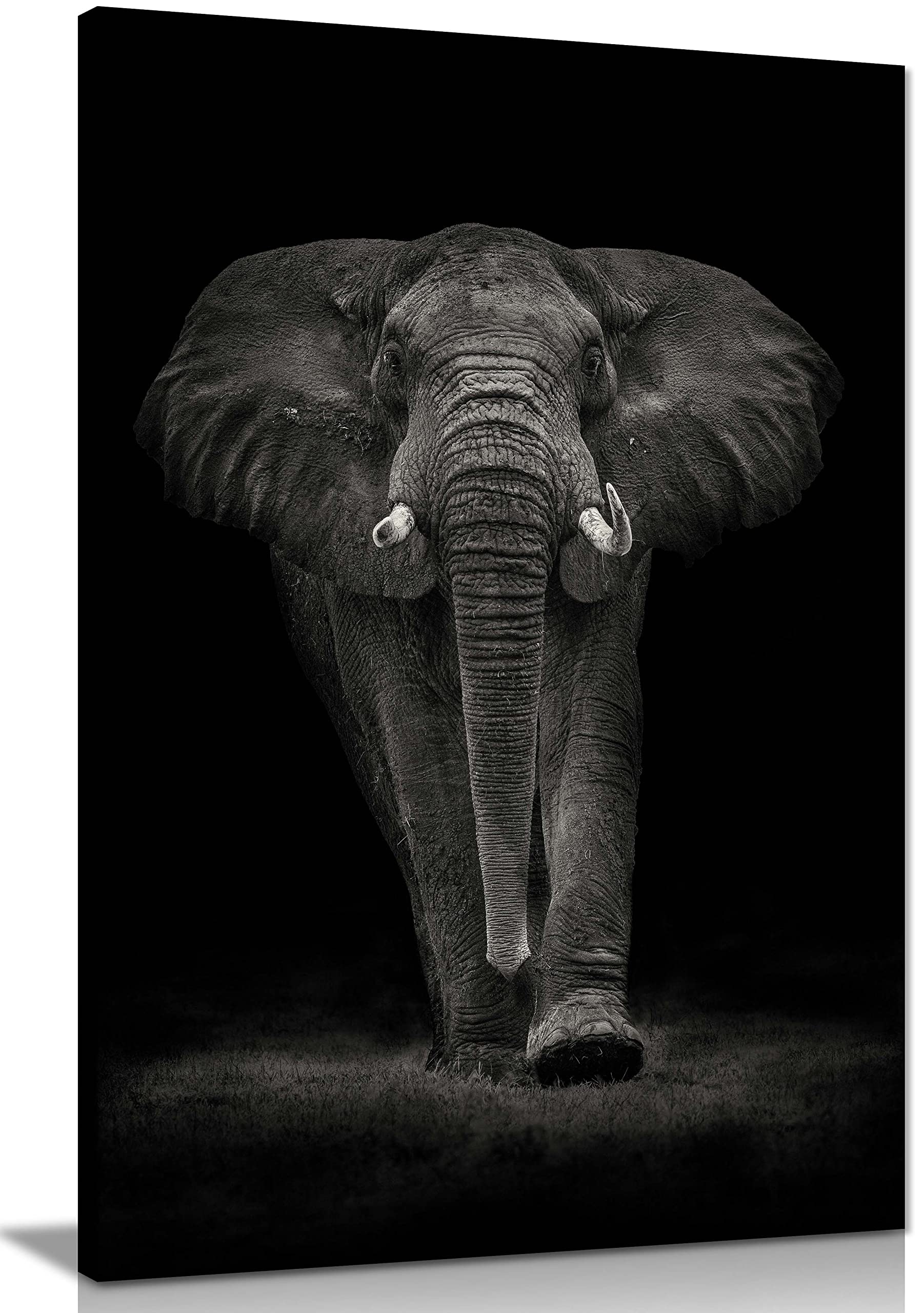 Panther Print Dark Fine Art Prints Approaching Majestic Elephant In The Artistic Framed Canvas Print, Pictures For Home Walls, Bedroom, Living Room & Bathroom Decor 91X61cm (36X24in)