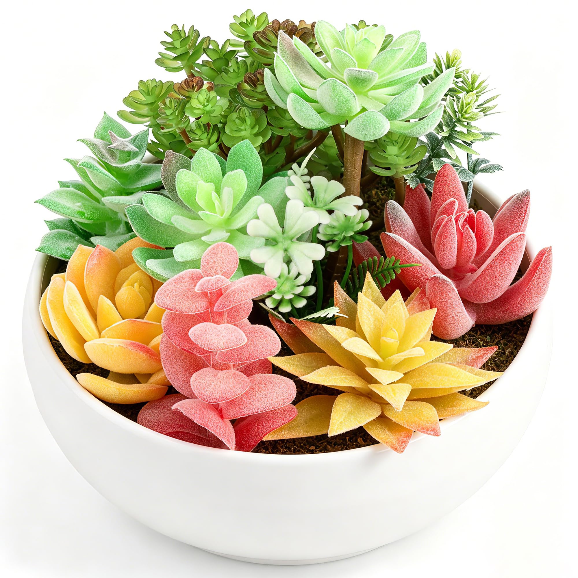 Plantes succulentes artificielles en pot blanc 16 cm Woration pour table