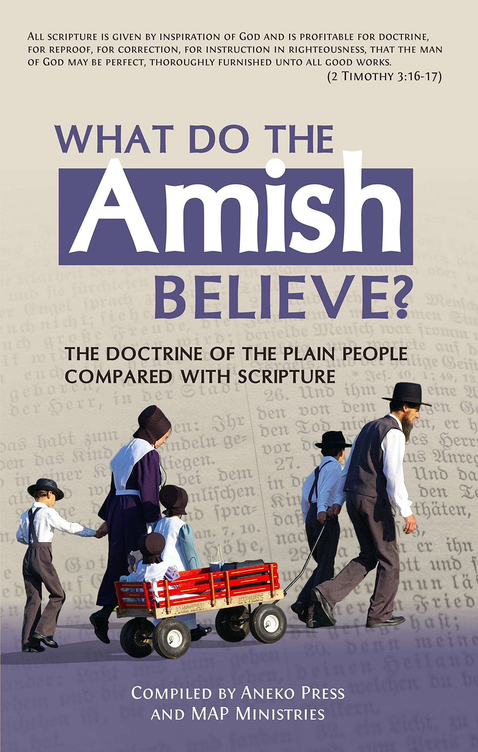 Buy What Do the Amish Believe? The Doctrine of the Plain People