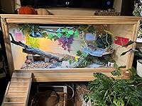 Review Image by Curtis Layne Curtis Layne