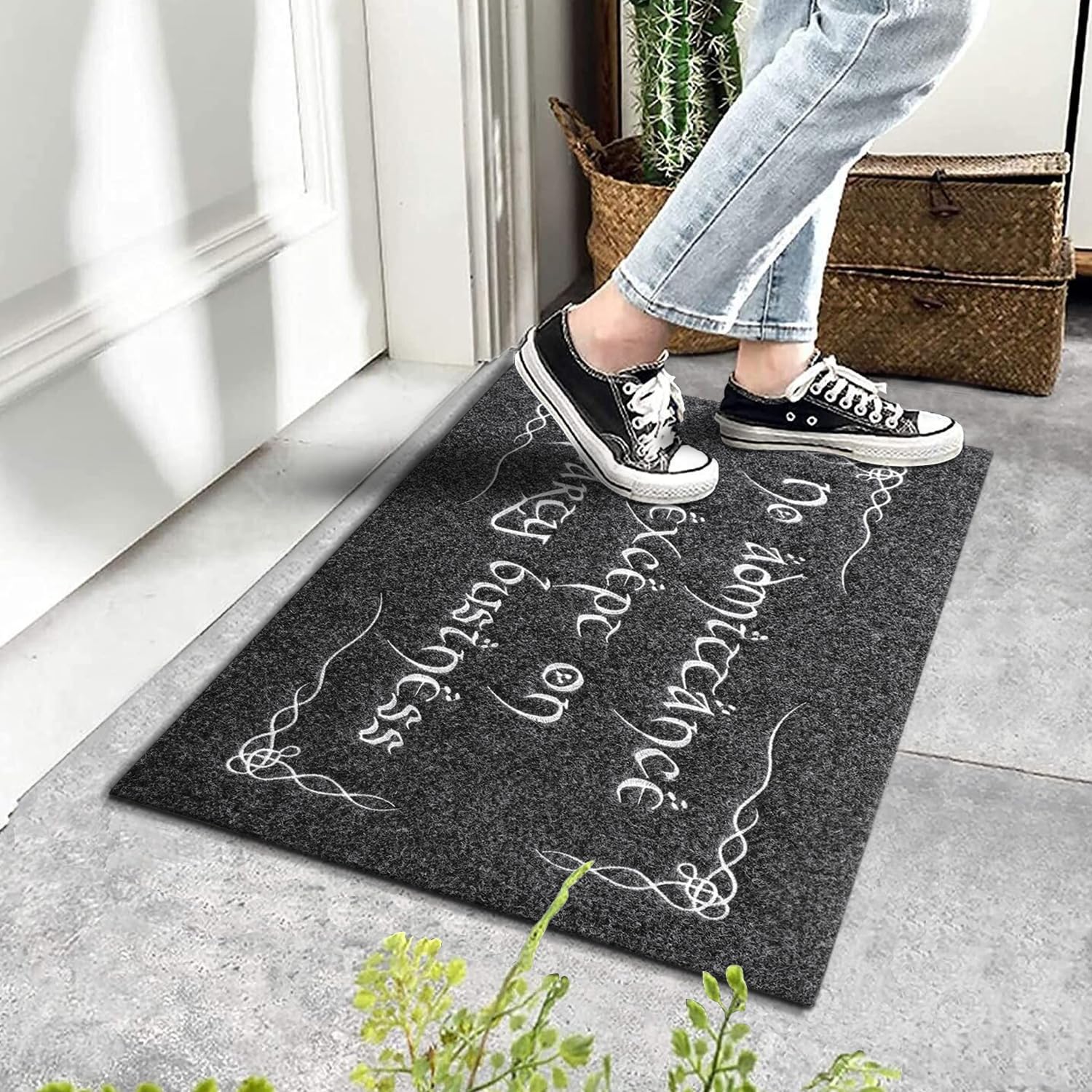 MWAZZLL Funny Doormat No Admittance Except On Party Business Mats Non Slip Outdoor Indoor Welcome Door Mats for Front Door,Entrance,Patio Grey - Image 2