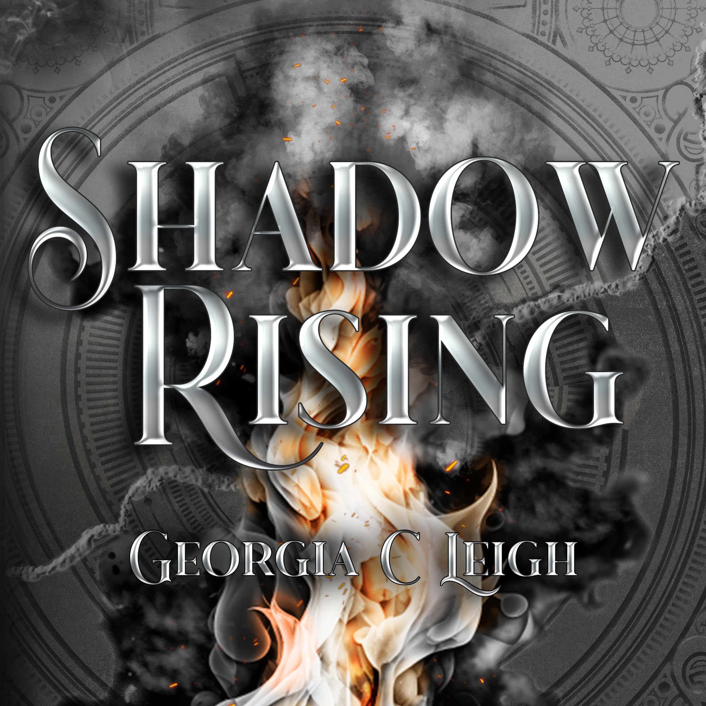 Cover art for Shadow Rising