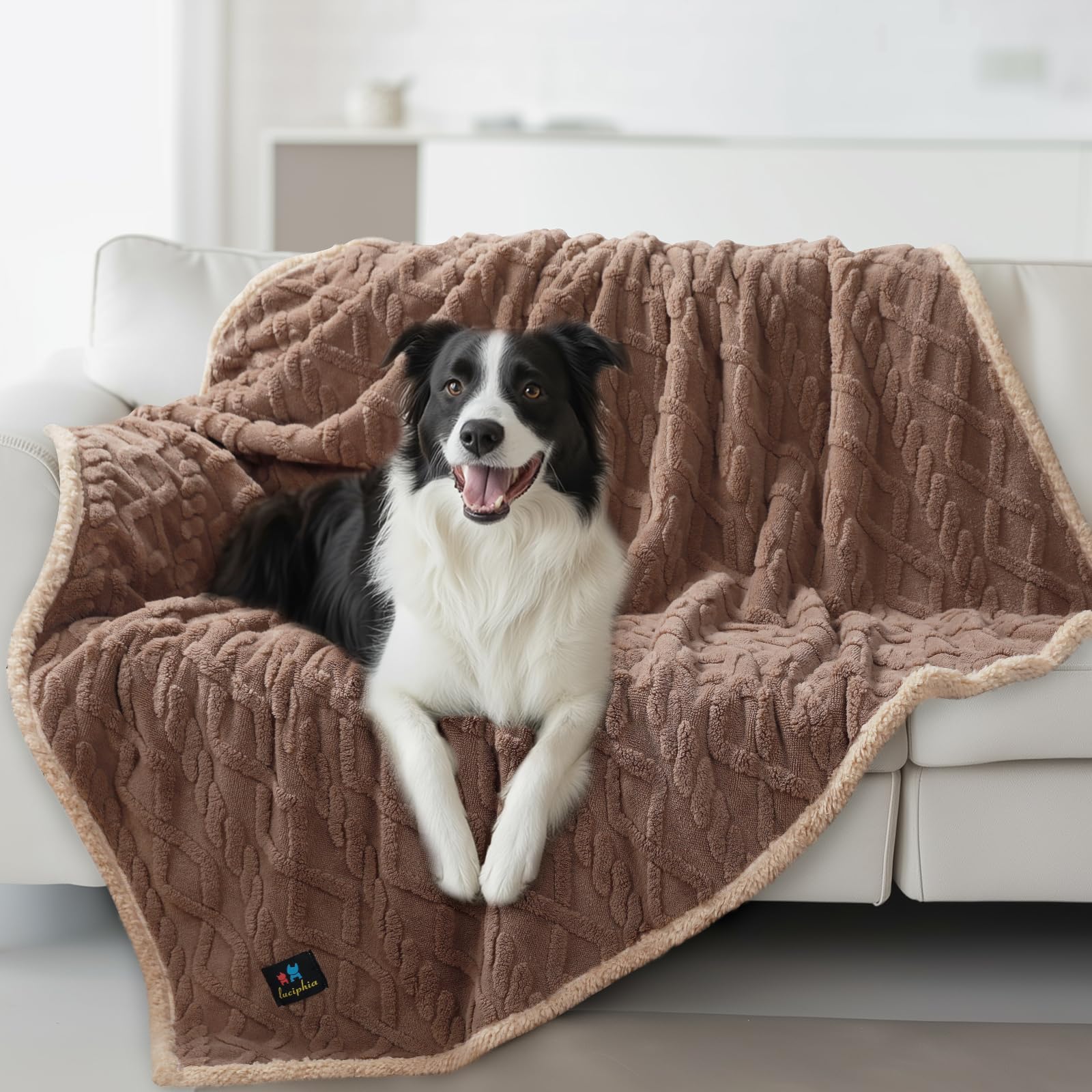 Waterproof Pet Blanket, Liquid Pee Proof Dog Blankets for Sofa Bed Couch, Reversible Sherpa Fleece Furniture Protector Cover for Small Medium Large Dogs Cats,Khaki Large（65" x 57"） — image 1