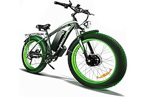 Electric Bike for Adults for Sale