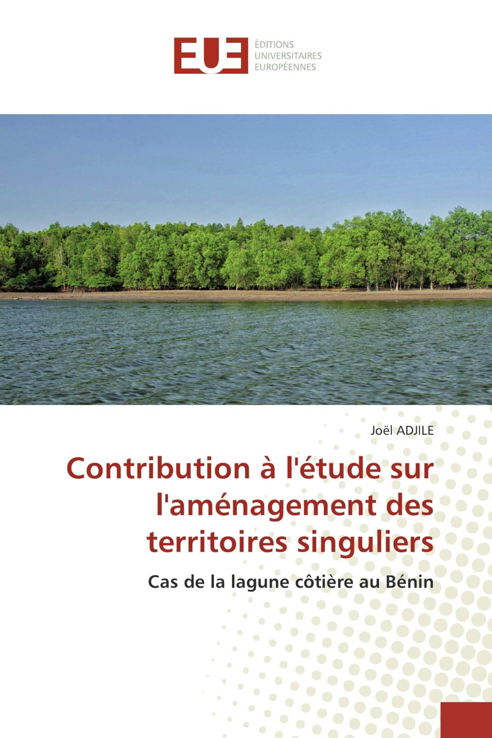 Aménagement des territoires singuliers : étude sur la lagune côtière au Bénin