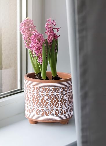 Miniatura 35 de D'vine Dev Juego de 2 macetas de terracota, 4 y 6 pulgadas, maceta de diseño con orificio de drenaje, selva monzónica, terracota/negro, 31-953-H-2