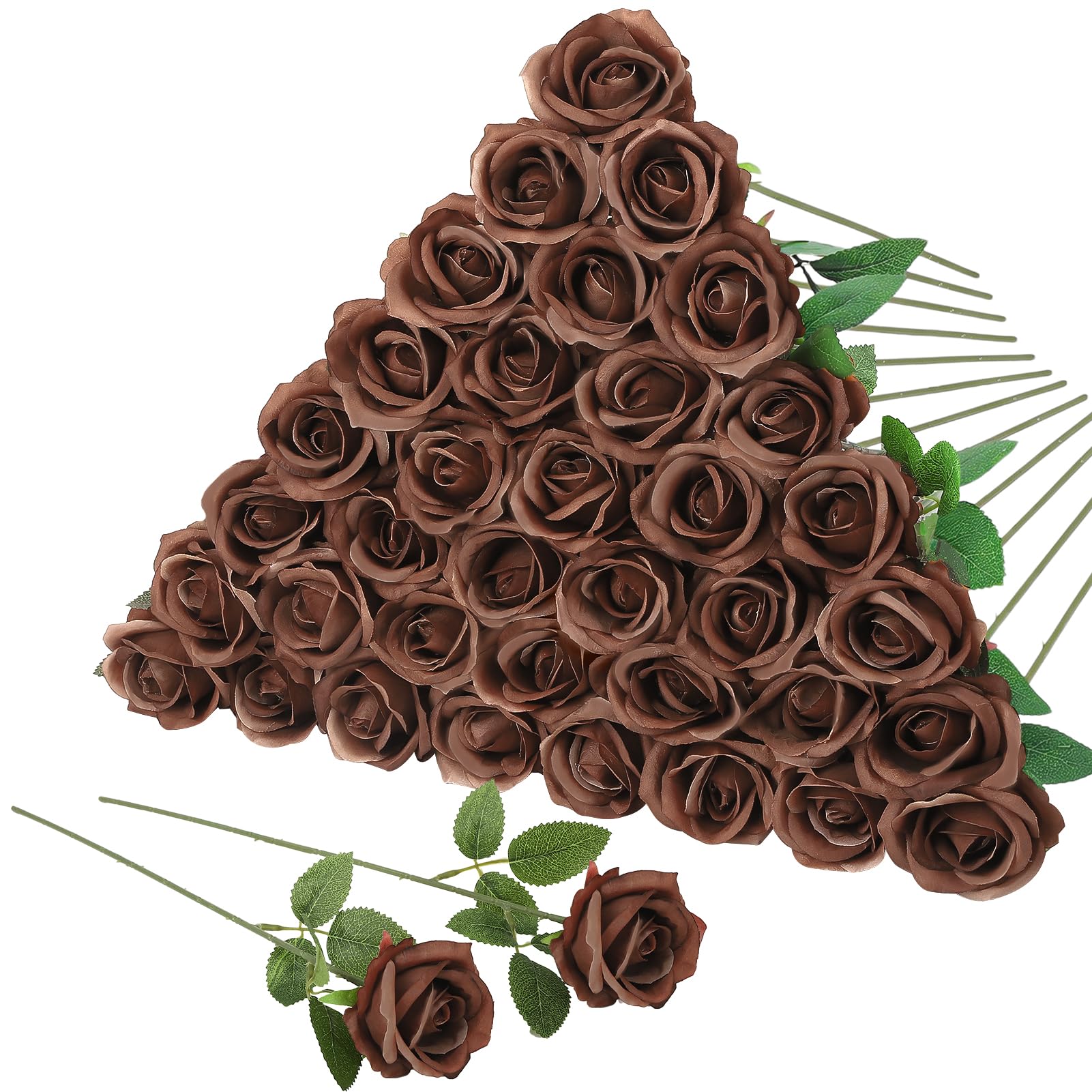 Hoemwarm 36 Chocolate Long Stem Roses