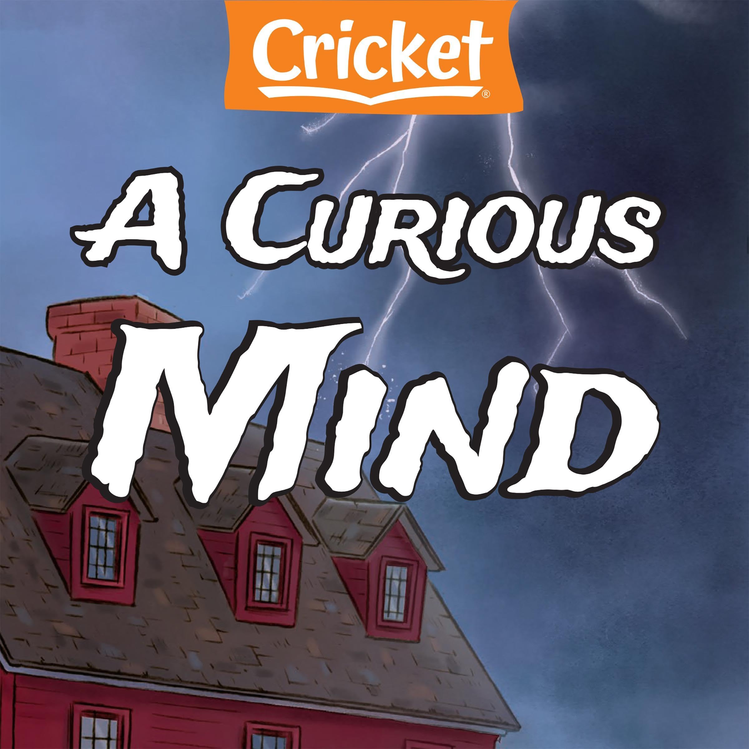 A Curious Mind