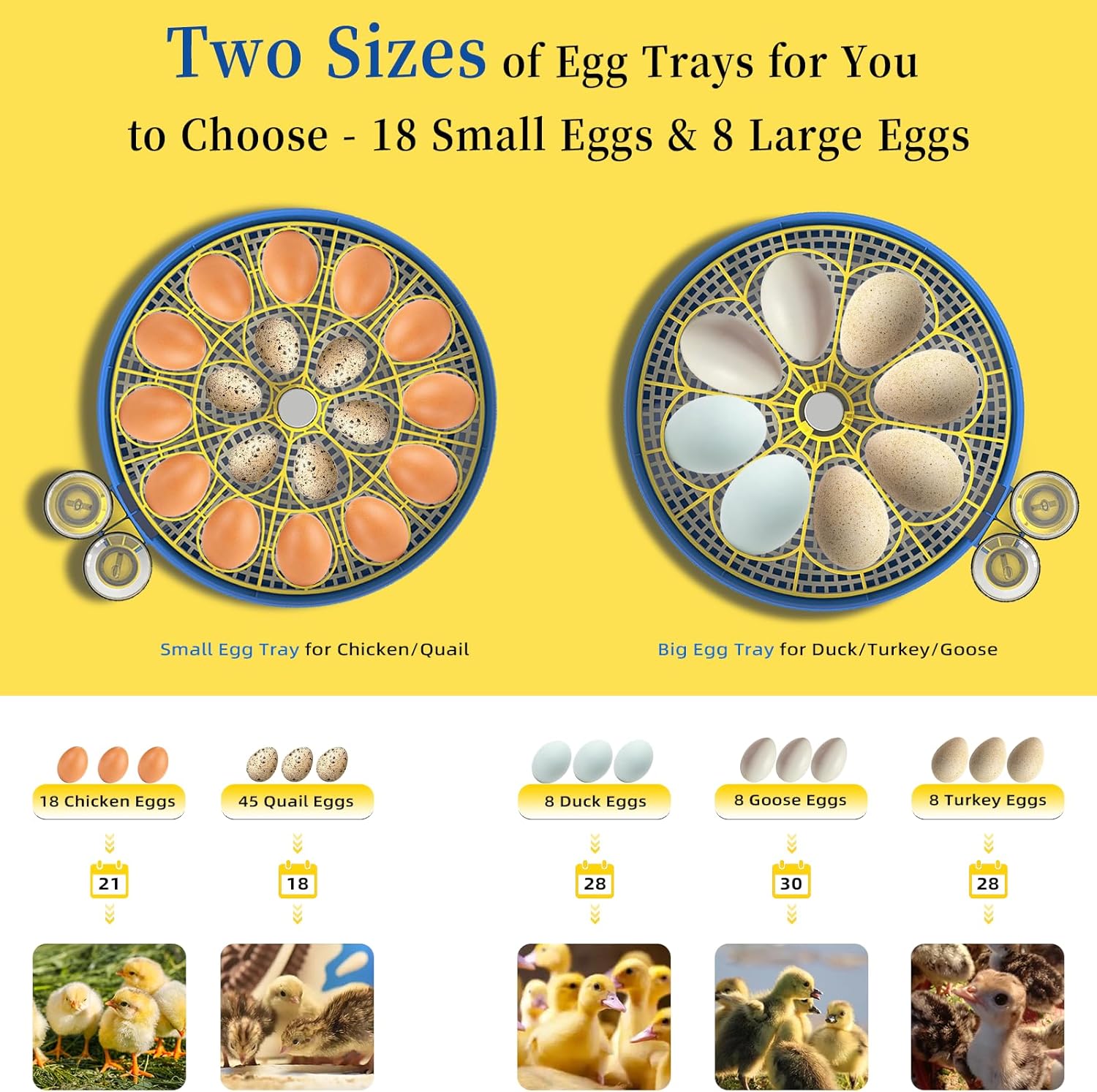 18 Chicken Egg Incubators for Hatching Eggs with Automatic Egg Turning and Humidity Control, High Hatch Rate Poultry Incubator for Chicken, Ducks, Goose, Pigeon, Quail, Ideal for Home, Farm, School