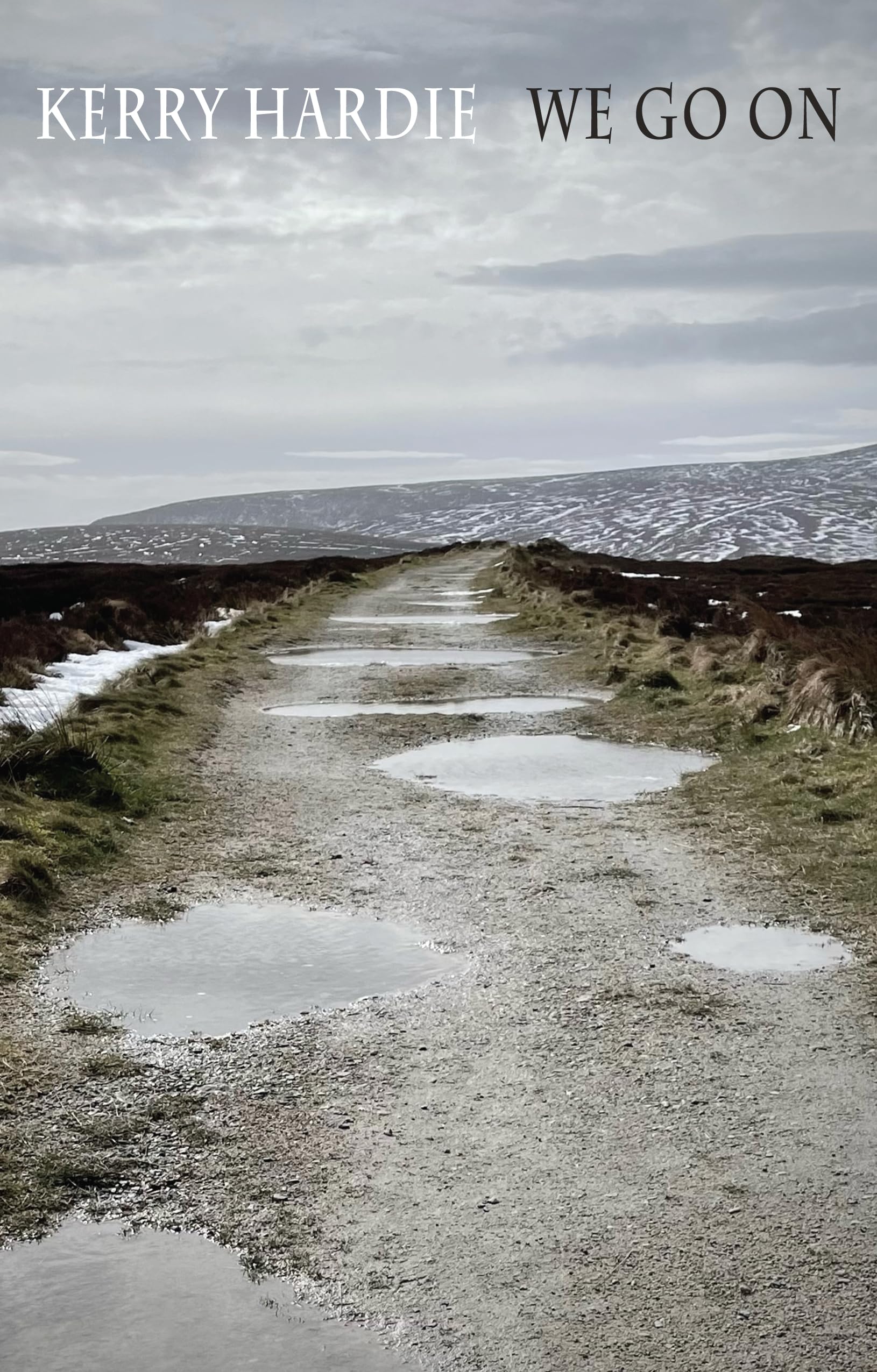 We Go on - Winner of the Pigott Poetry Prize 2025 (Bloodaxe Books)