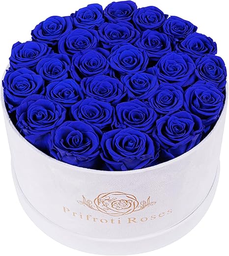 27 Flowers in a Luxury Suede Box, Birthday Gifts for Women, Preserved Flowers, Mothers Day Roses Gift for Mom, Royal Blue