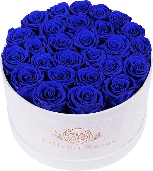 27 Flowers in a Luxury Suede Box, Birthday Gifts for Women, Preserved Flowers, Mothers Day Roses Gift for Mom, Royal Blue