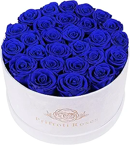 27 Flowers in a Luxury Suede Box, Birthday Gifts for Women, Preserved Flowers, Mothers Day Roses Gift for Mom, Royal Blue