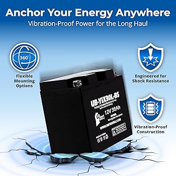 Amazon.com: Replacement for YIX30L-BS Battery 12V 30AH SLA