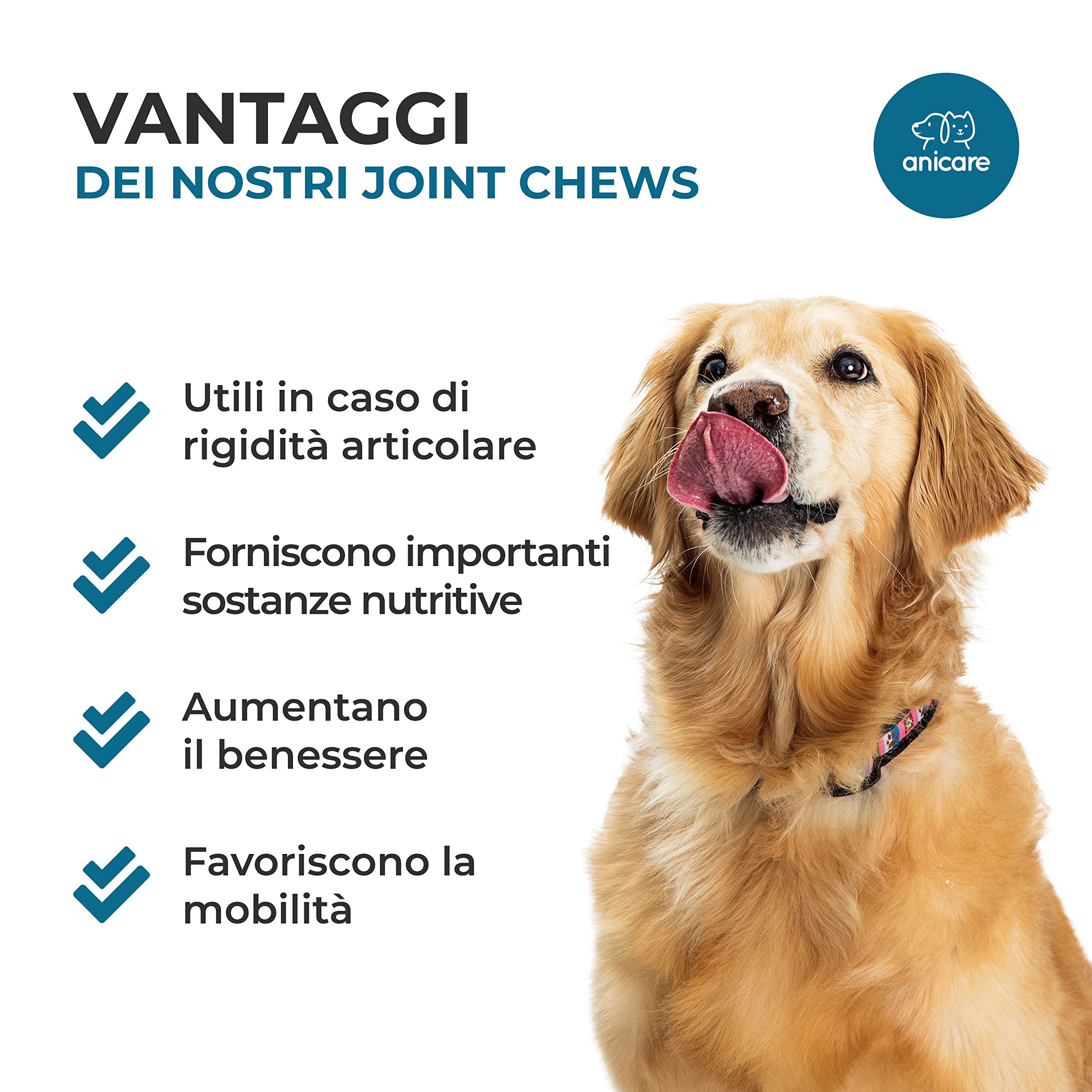 Anicare Premium Joint Care - Chews ad Alta concentrazione per Cani Che rifiutano Le compresse per Le articolazioni! con glucosamina, condroitina, MSM e cozze dalle Labbra Verdi