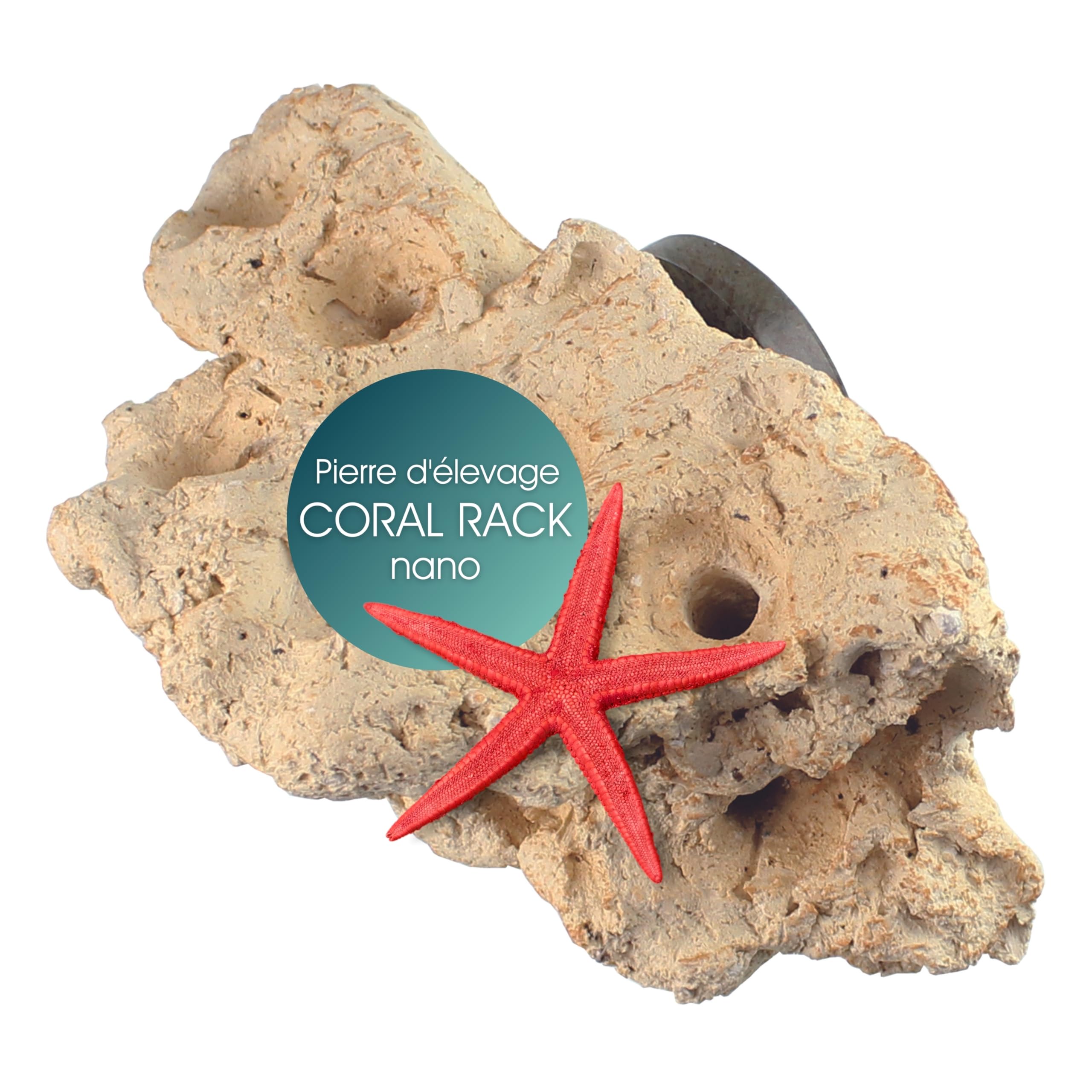 Tunze Coral Rack Nano Keramikstein Magnethalterung Aquarium-Deko Korallenaufzucht Süßwasser Meerwasser