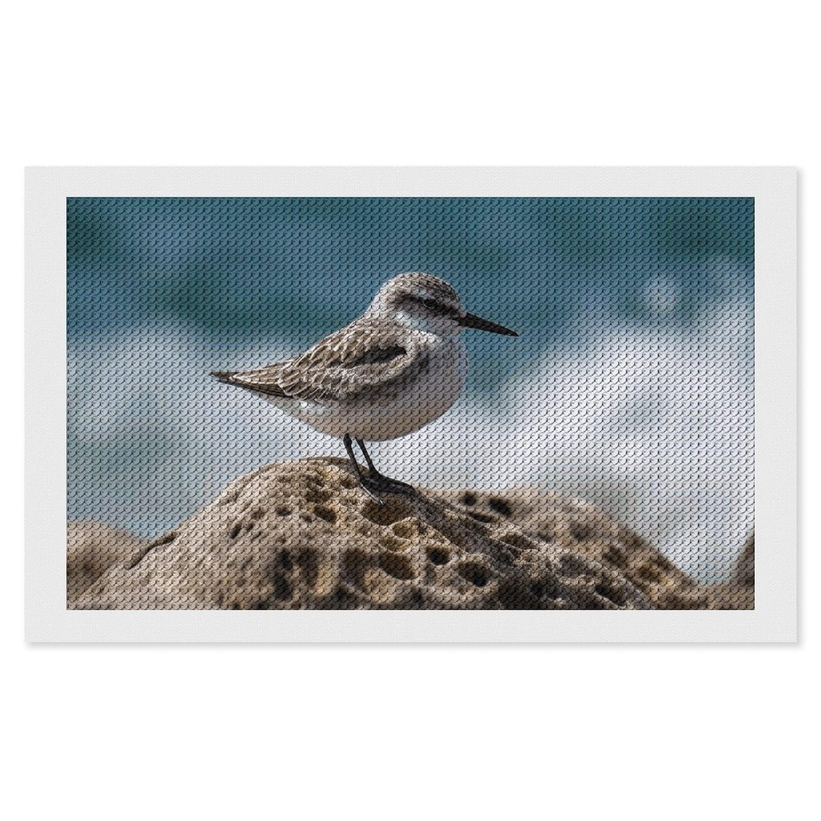 Diamond Painting Kits for Adults - DIY Diamond Art Kits for Beginners - Full 5D Paint Drill Diamond Dots Paintings- Bird Perching on The Rock Diamonds Pictures Gem Art And Craft Wall Decor 12"x20"