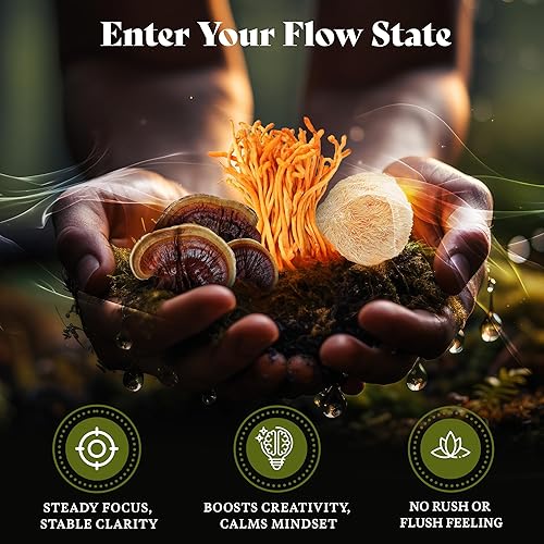 Miniatura 4 de HAPPY FOX Gotas líquidas de musgo marino irlandés orgánico y tintura de hongos y 7 extractos de hongos adaptogénicos para apoyo cognitivo y refuerzo