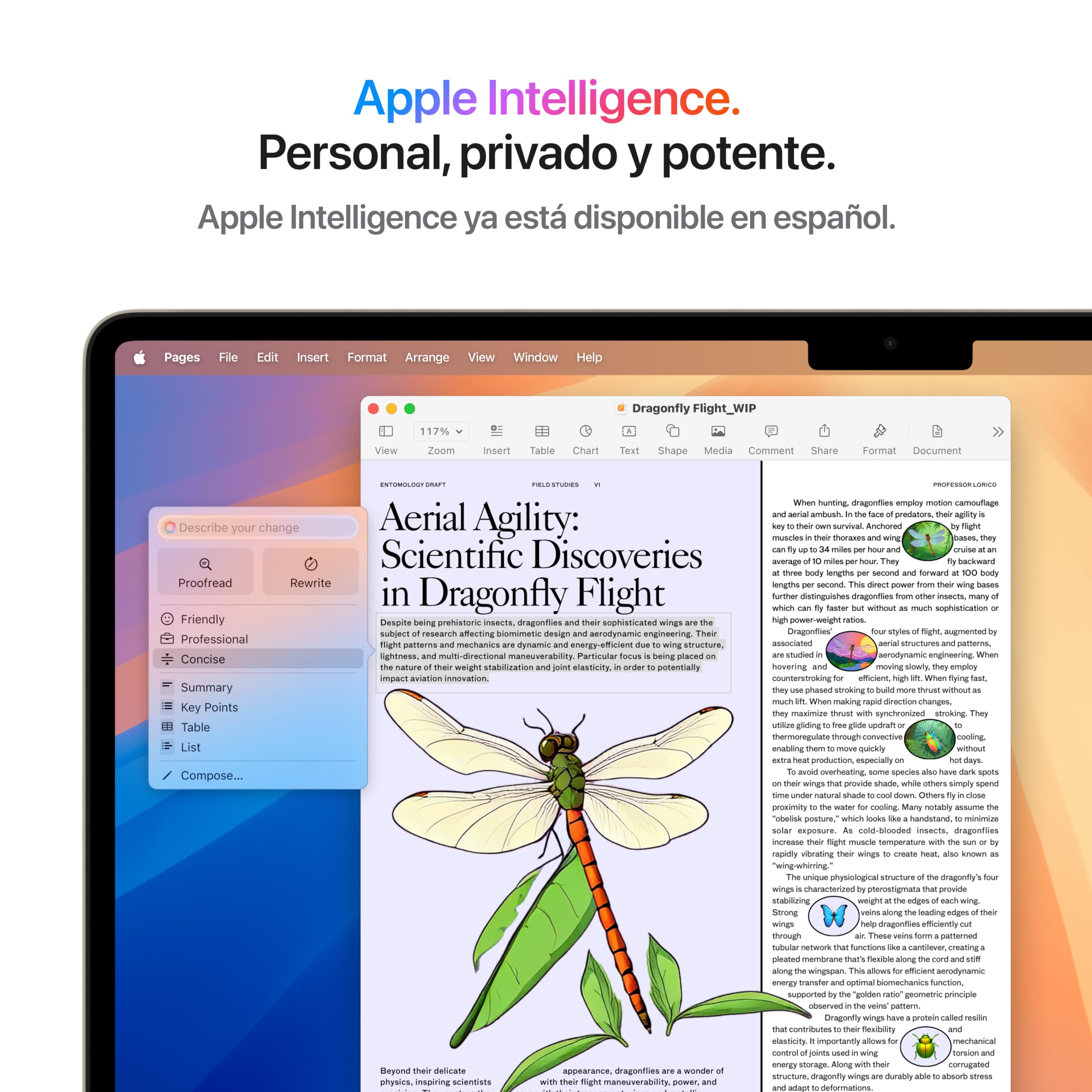 Apple 2025 MacBook Air de 15 pulgadas con chip M4: diseñado para Apple Intelligence, pantalla Liquid Retina de 15,3 pulgadas, 16 GB de memoria unificada, 512 GB SSD, teclado portugués; Blanco estrella