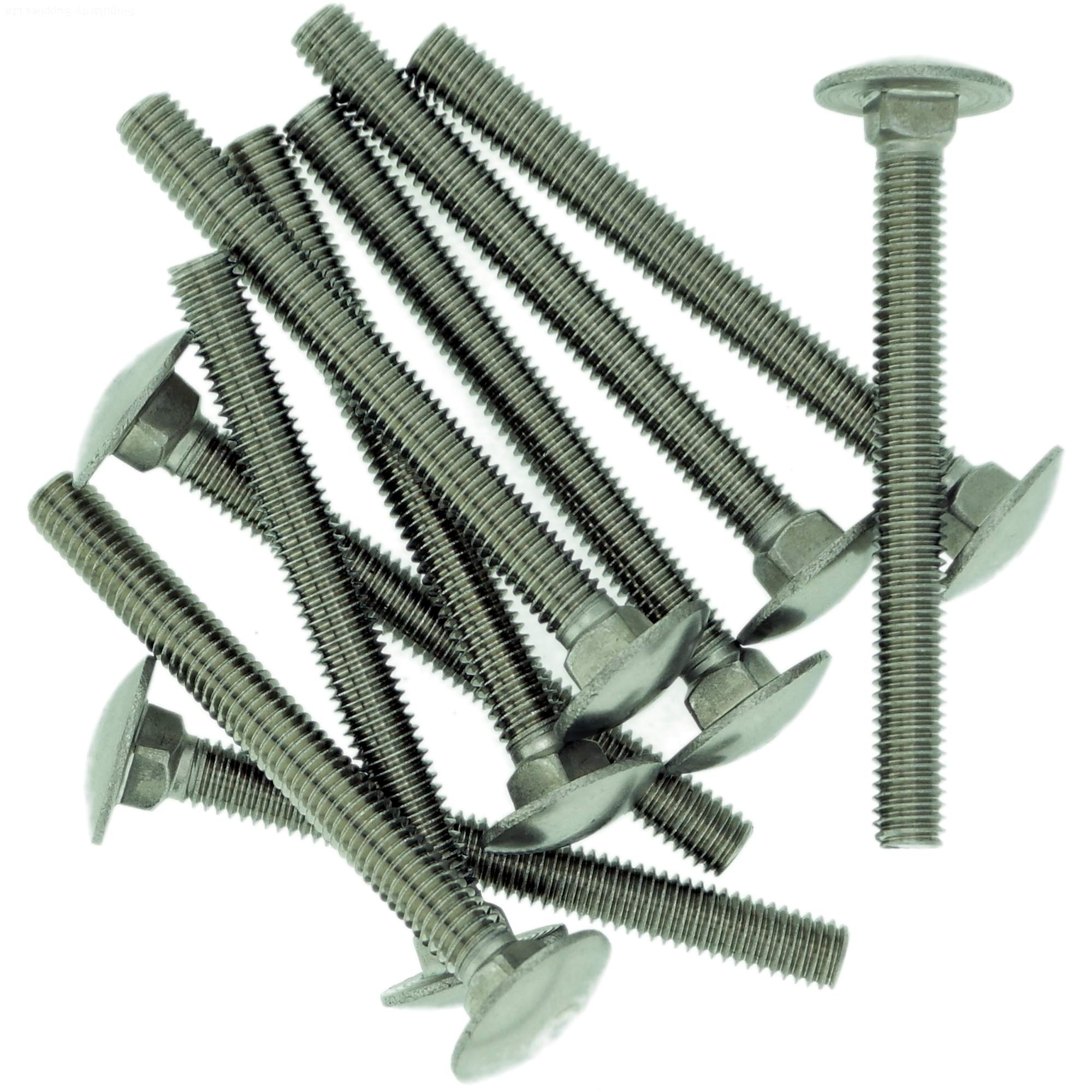 Singularity Supplies M6 (6Mm X 16Mm) Cup Square Carriage Bolt (Fully Threaded) - Stainless Steel (A2) (Pack Of 10)