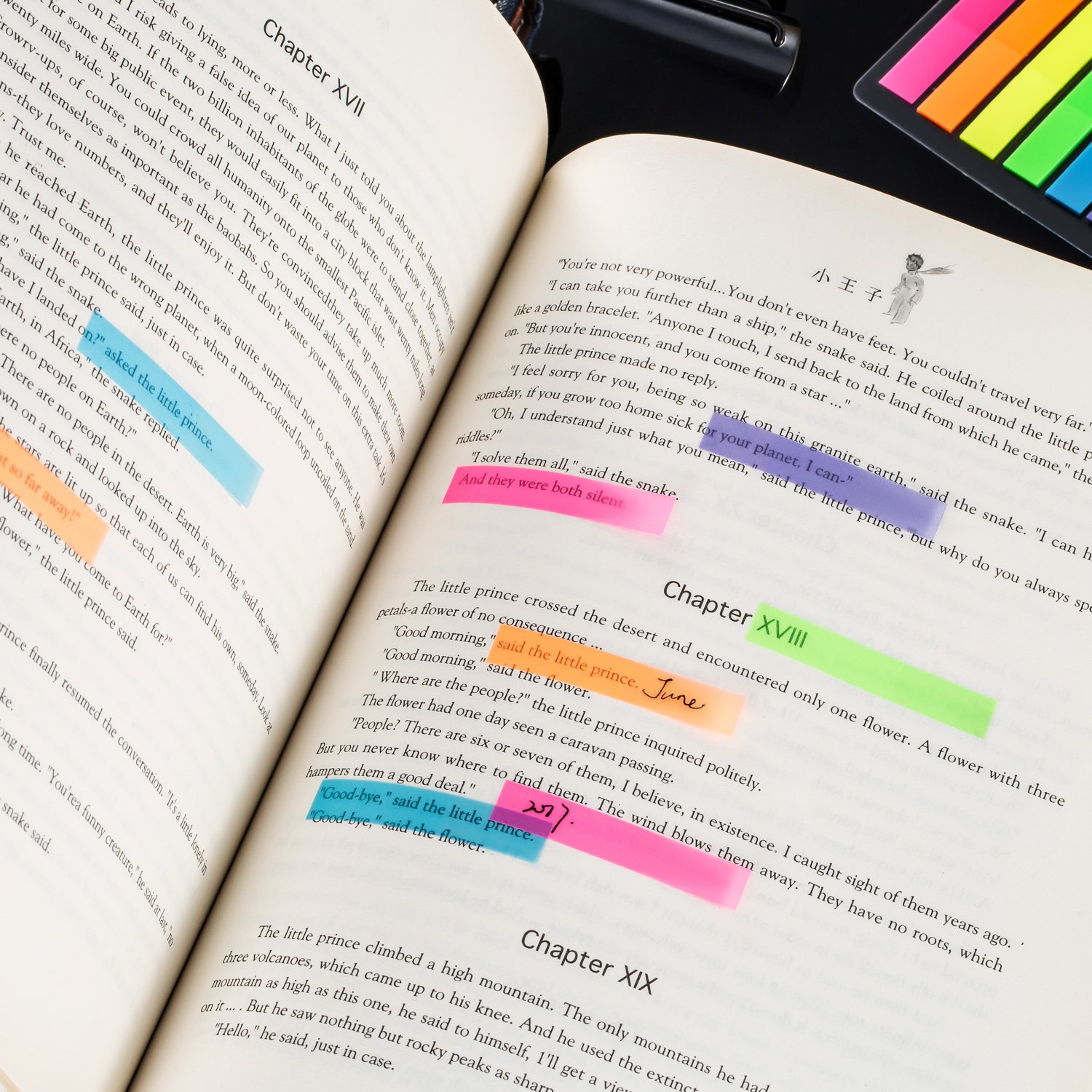 360 Adesivi Segnapagina Color Macaron - Etichette Indice Mensili, Per Libri, Documenti, Organizzazione, Plastificati, 15 Fogli
