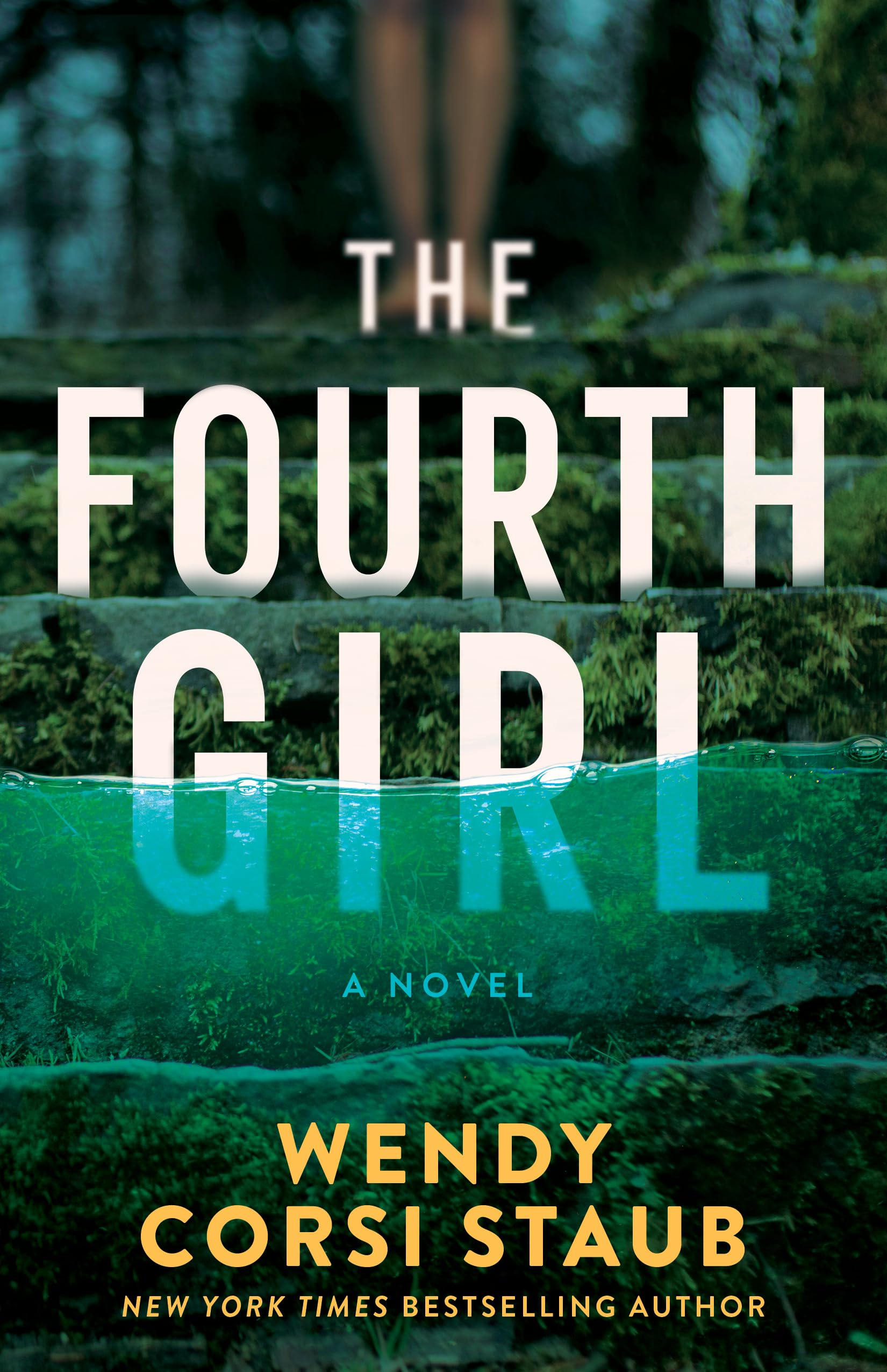 The Fourth Girl: A Novel (Haven Cliff Book 1)