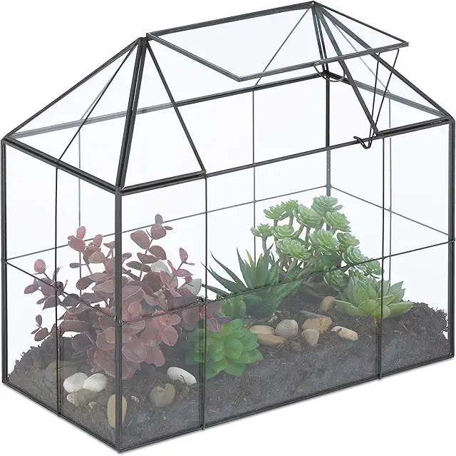 Terrarium plat Relaxdays, maison noire pour plantes, 27x30x15 cm