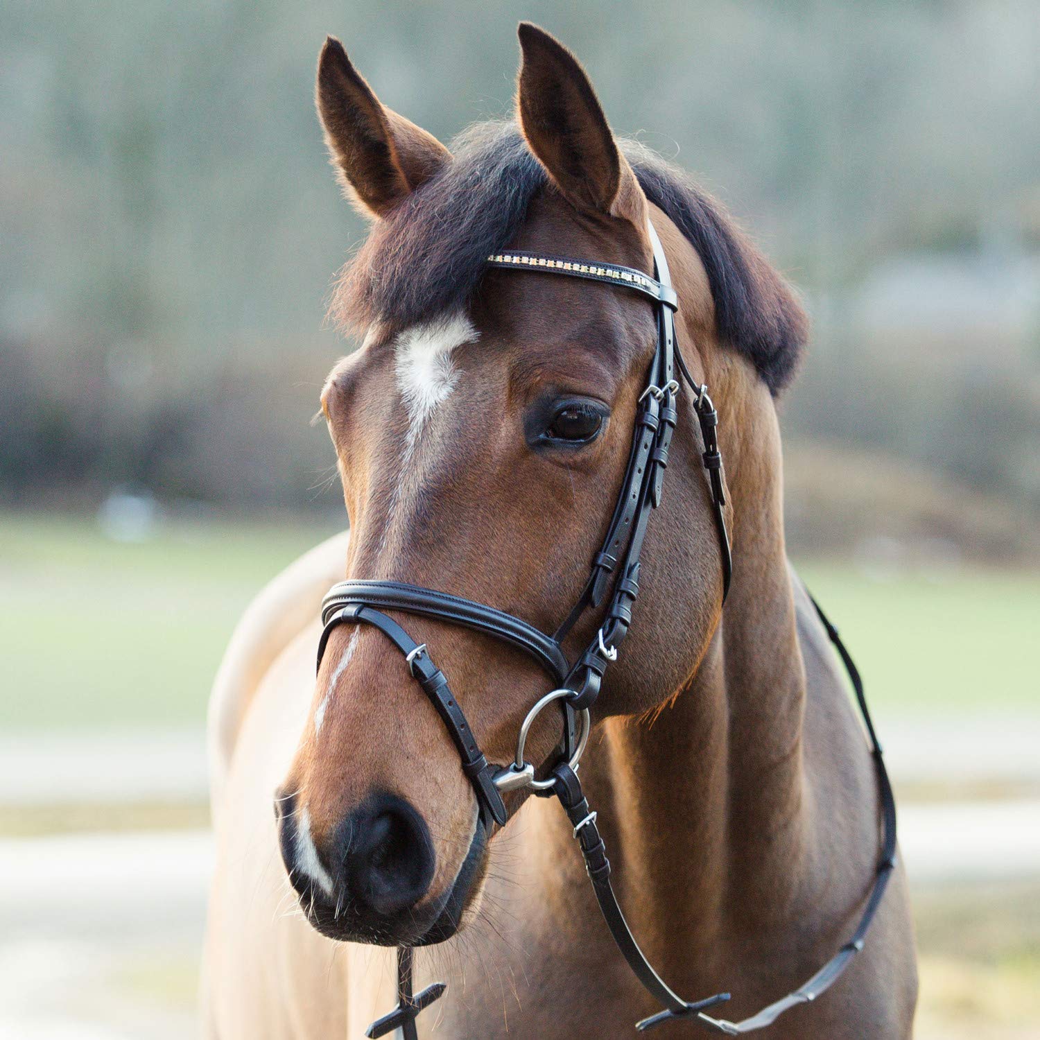 HORZE Pferde Trense Weston, Trensenzaum mit Zügel für Warmblut, Vollblut und Pony, Braun, C