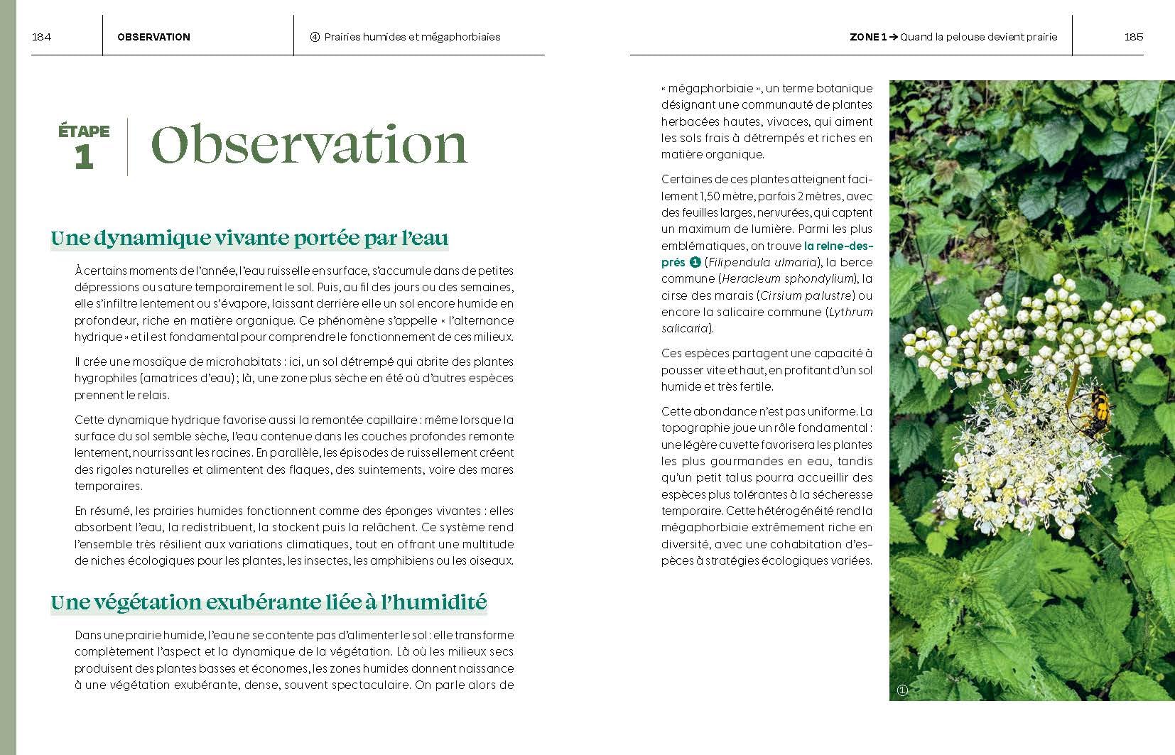 Le Guide pour réensauvager les jardins: Jardins, balcons, terrasses...