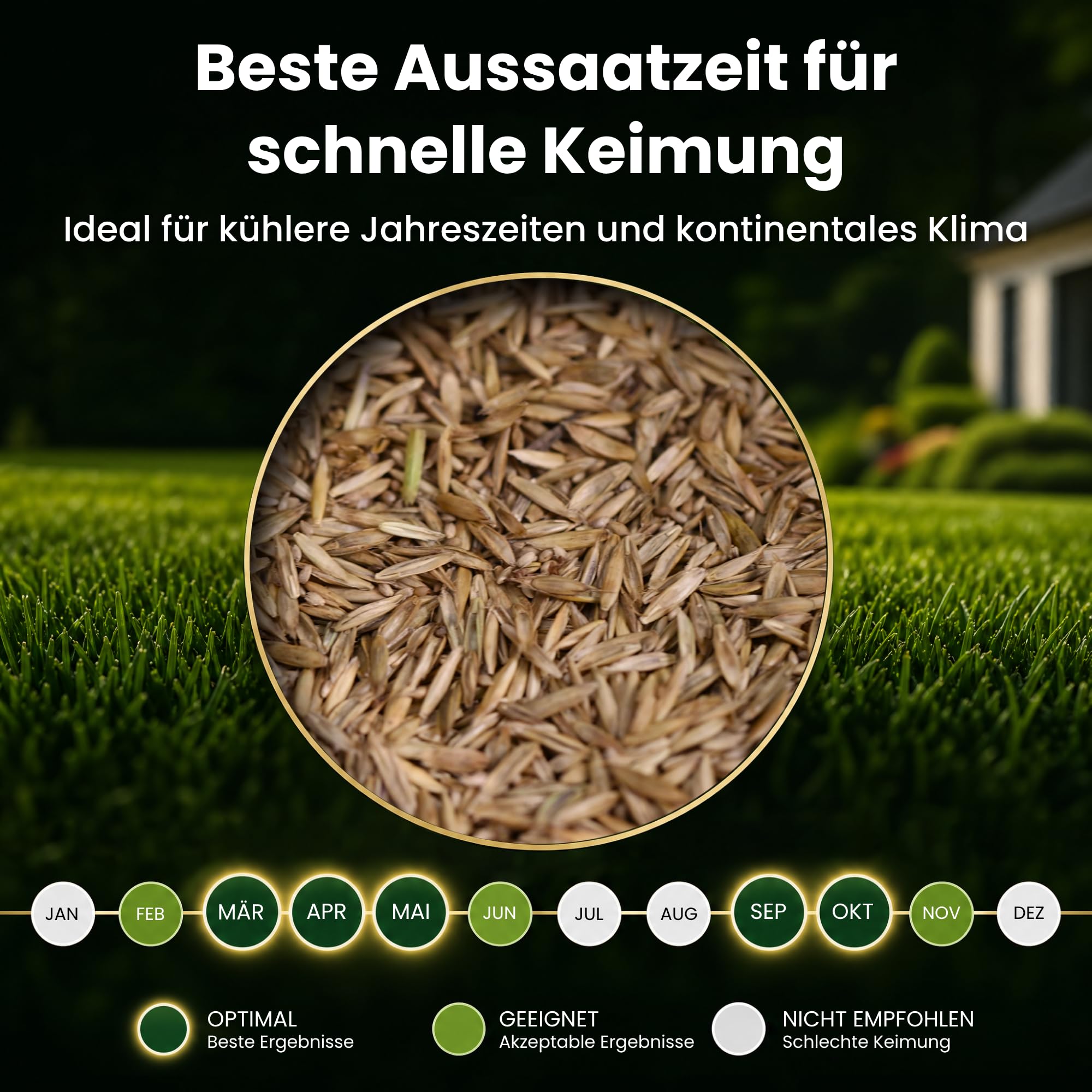 LERAVA Turbo Rasensamen schnellkeimend (360 m²) - Schattenrasen für kühle Gebiete - Leuchtend grüner & robuster Grassamen zur Nachsaat - Rasensaat für Frühjahr & Herbst