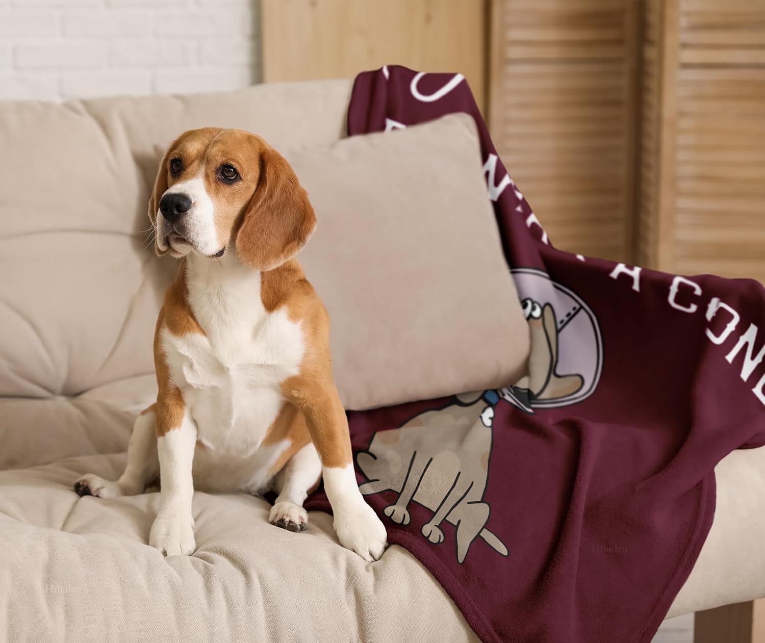 Get Well Gifts for Women/Men After Surgery, Sympathy Gift, Feel Better/Get Well Soon Gifts for Women, Surgery Recovery Gift for Men, at Least You Dont Have to Wear A Cone Red Blanket 50"x60" - Image 5