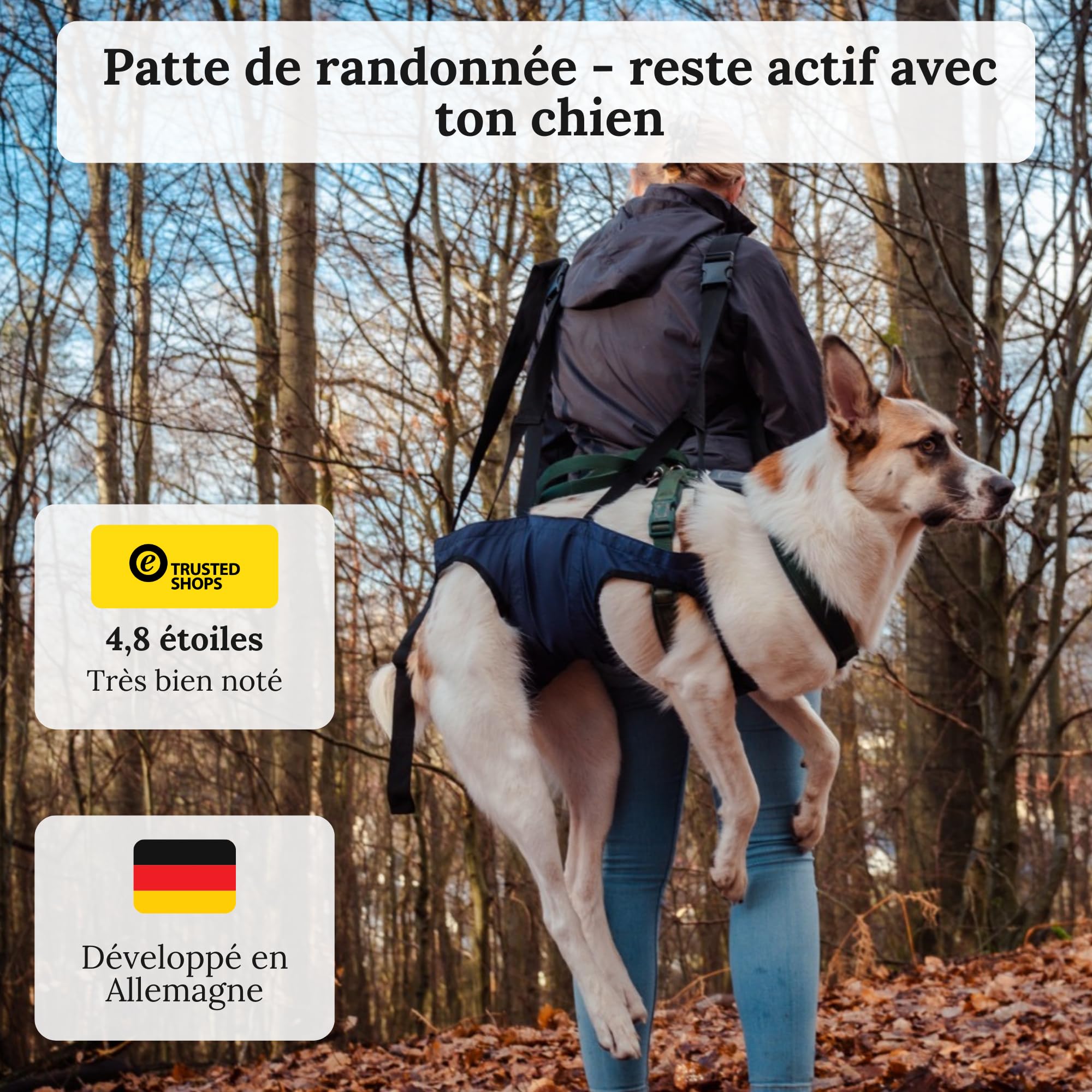 Aide au transport pour chien - Sac à dos d'urgence lors de randonnées ou sac de transport pour chien au quotidien dans les escaliers - Petit, léger, robuste, de qualité supérieure