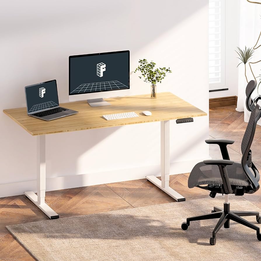 Amazon.com: FLEXISPOT E6 Essential Bamboo 3 Stages Dual