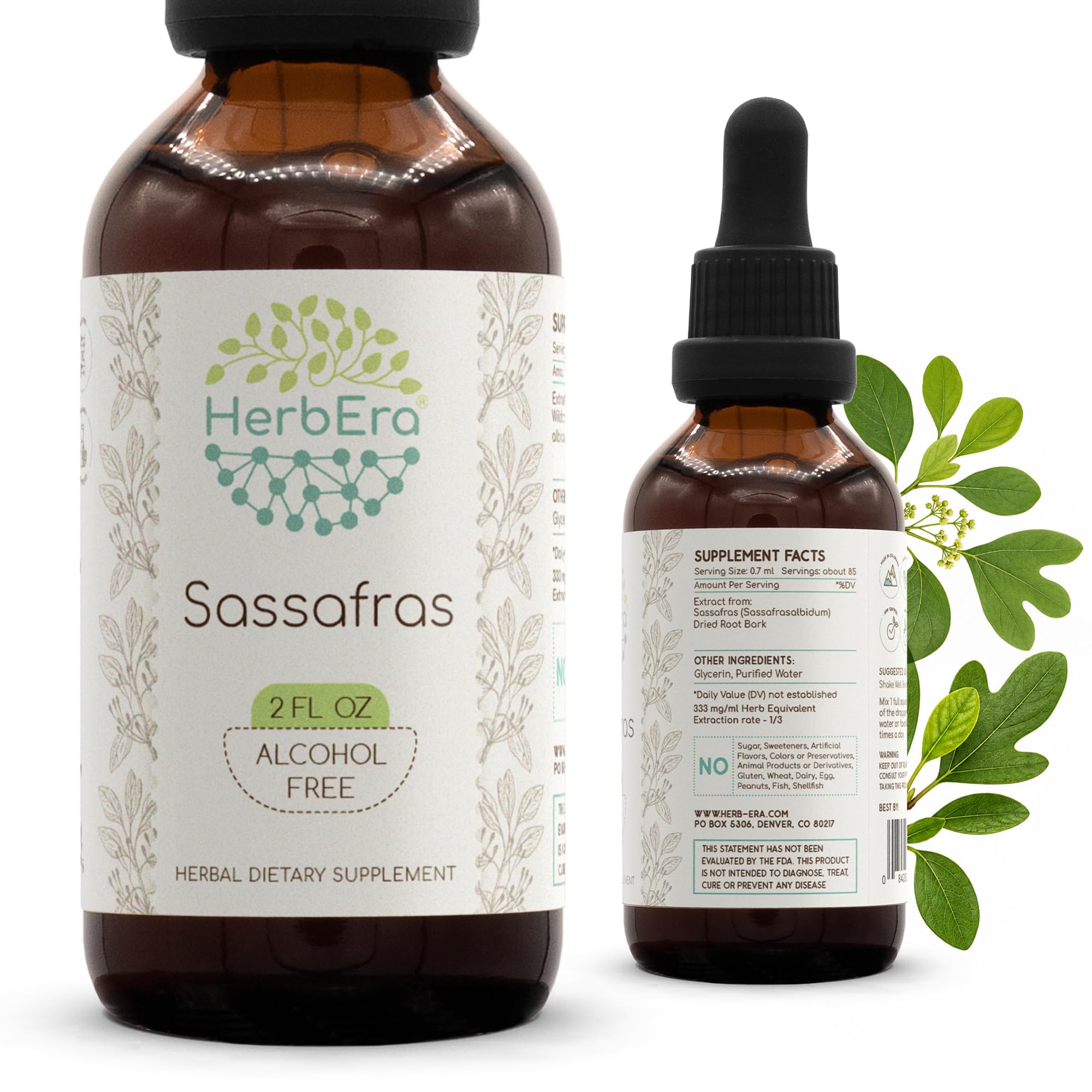 HerbEra Sassafras Alcohol-Free Liquid Extract Tincture – Digestive & Liver Support, Sassafras albidum Dried Root Bark, Detox Drops, Vegan, Herbal Supplement (2 fl oz) 2 Fl Oz (Pack of 1)