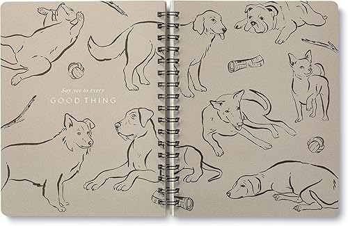 Miniatura 5 de Compendium Cuaderno de espiral - Juega todo el día un cuaderno de espiral de diseñador con 192 páginas rayadas, rayas universitarias, 7.5 pulgadas