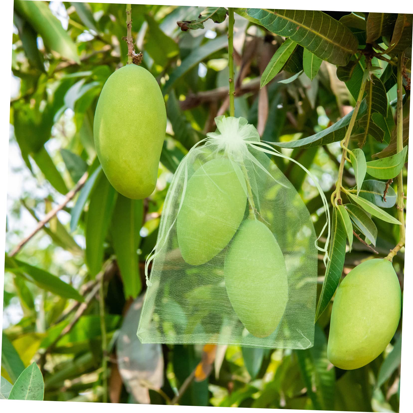 100 pezzi Sacchetti Protezione con Coulisse Sacchetti Rete Antinsetti e per e Vigneto per Piante e Frutti