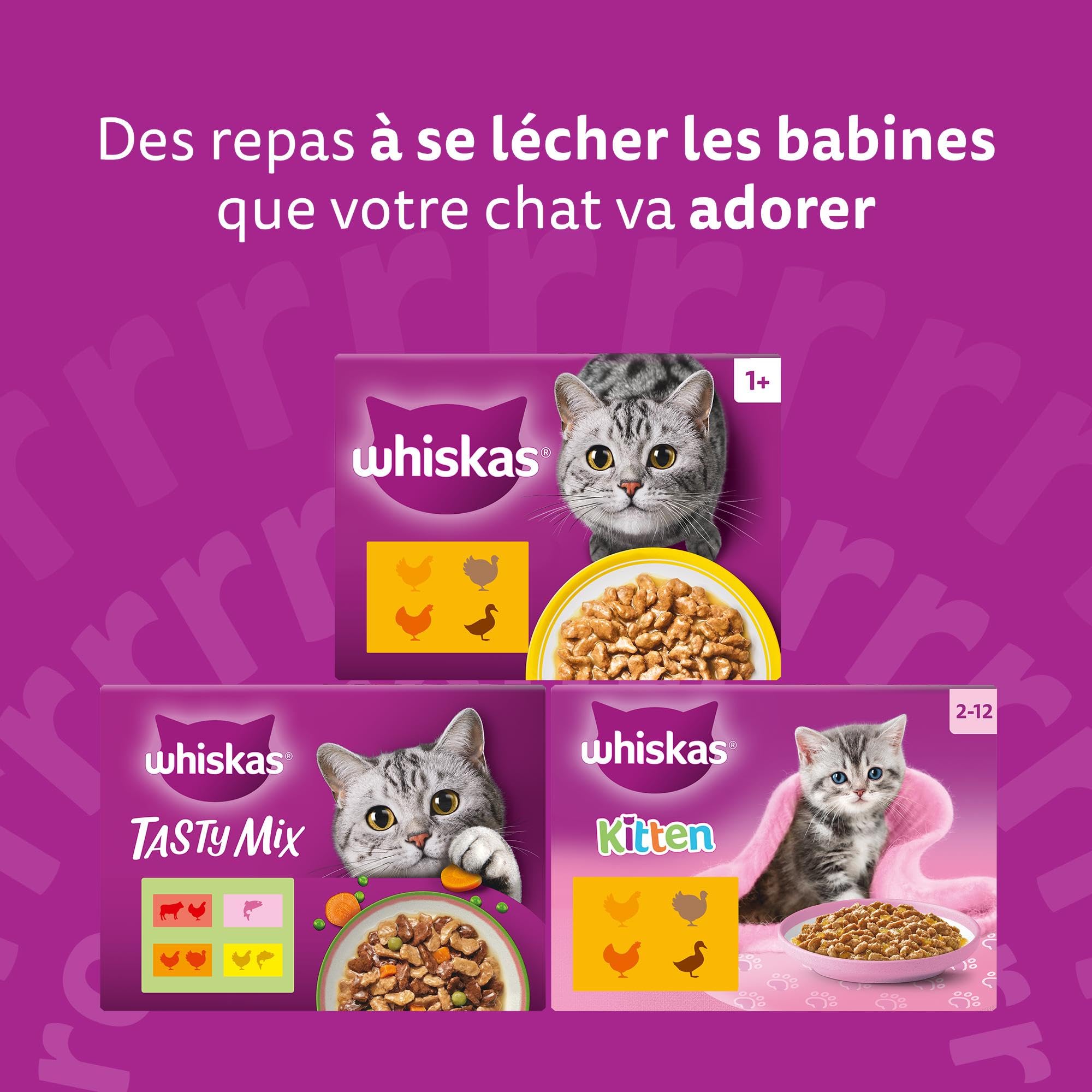 WHISKAS DUO Aliment humide en gelée pour chat adulte 12x85g Terre & Mer (Lot de 4) 48 Sachets