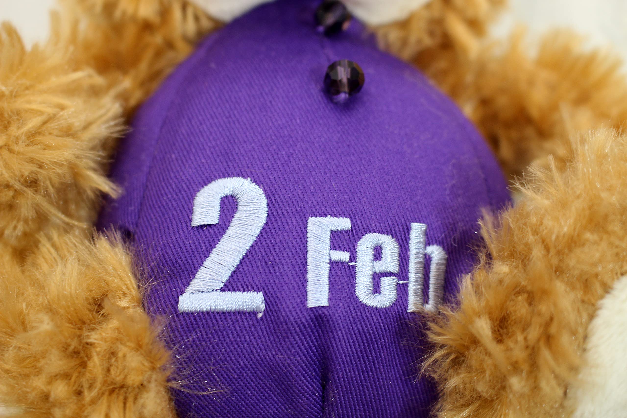 Amazon.co.jp: テイクオフ ぬいぐるみ BEAR'S365 2月 ブラウン : おもちゃ