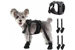 2-in-1 Dog Boots and Harness: A Paw-some Adventure Buddy for Your Furry Friend!