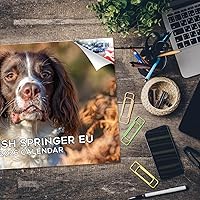 Vista 786 de Razas de Perros 2017