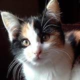 Ideal für das Blumenshopping und die Überprüfung Ihres Gartens