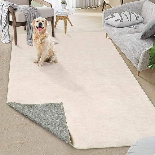 RUGSREAL Washable Contemporary Area Rug Low-Pile Solid Modern Area Rug Non-Slip Stain Resistant Home Office Solid Rug for Living Room Bedroom Kids Room, 5' x 7' Cream-White